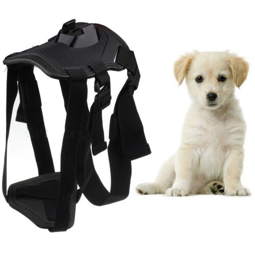 【旗舰优品】gopro狗狗背带 gopro狗带hero9/8/7/6/5/4狗狗背带胸前