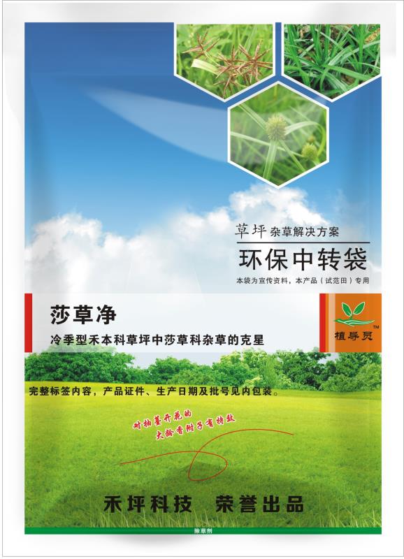 莎草净撅莎禾本科草坪马尼拉百慕大黑麦除香附子草水蜈蚣 15g