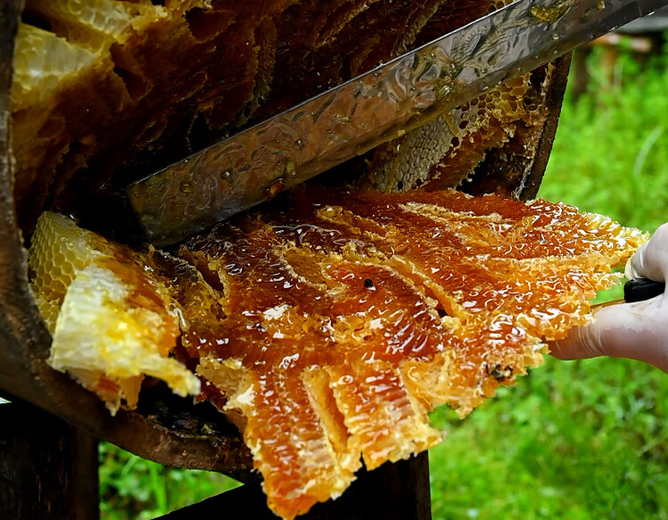 土蜂蜜农家纯正木桶百花蜜野生悬崖蜜秦岭大别山结晶蜜蜜森林蜜1瓶