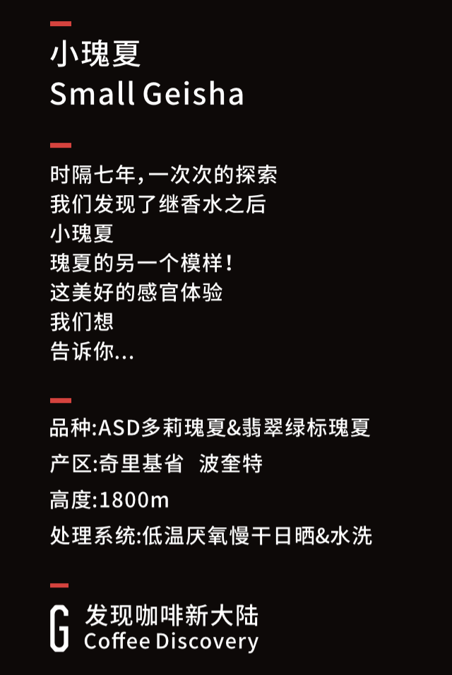 小瑰夏smallgeishagee八周年甄选精品单品手冲咖啡100g包顺丰发货