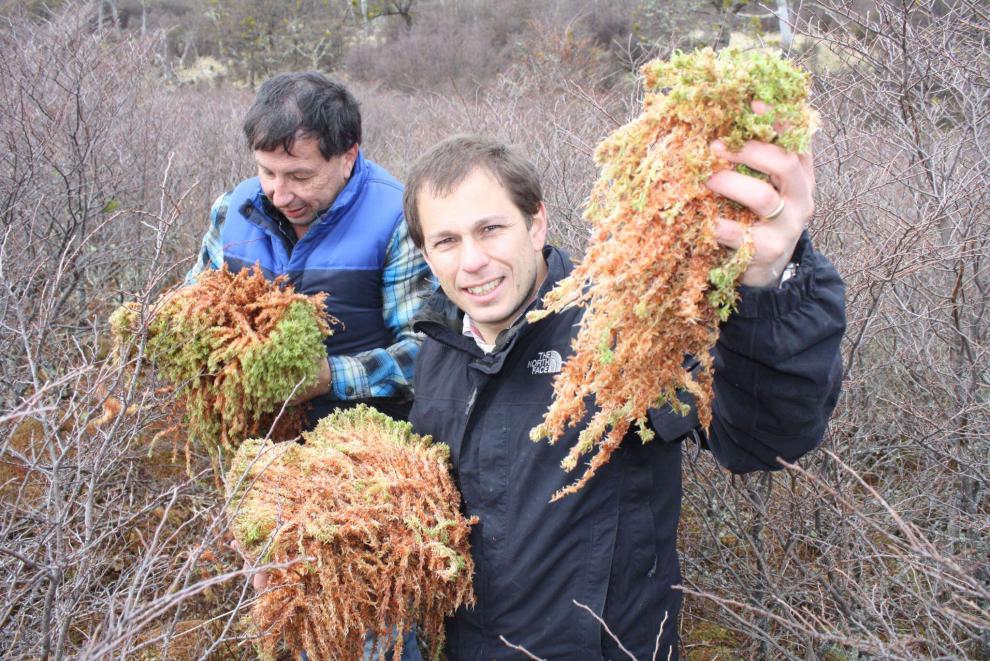 智利水苔智利水苔干水苔多肉土蝴蝶兰土兰花土食虫植物土营养土汐岩