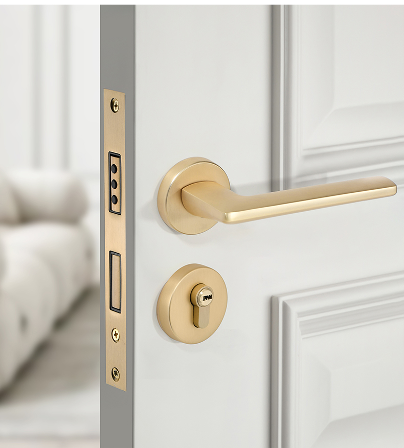 室内亚光金铜拉丝色轻奢分体套装简约卧室磁吸静音房门现代木门锁 f款