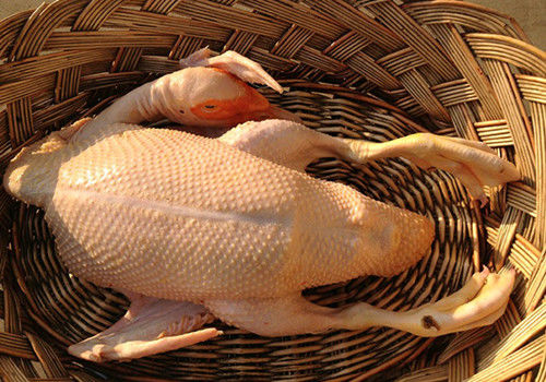 农家散养鸳鸯番鸭红头鸭肉活体新鲜鸭子肉鸭肉整只土鸭子生鲜杀好净重