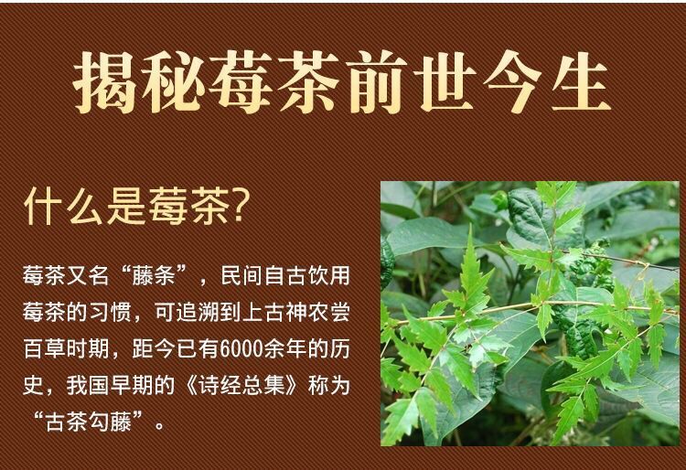 高山野生新货莓茶500克 藤茶溪黄茶叶苦雪茶白茶灰茶 嫩梗莓茶(1000克