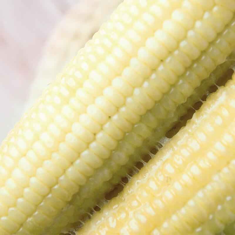 东北特产速冻白糯玉米棒新鲜白苞米早餐速冻包装粗粮精选大棒280克8根