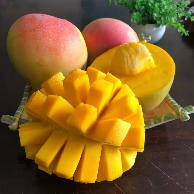 纯香果澳洲大芒果水果新鲜当季9斤贵妃凯特特大105斤精选大果