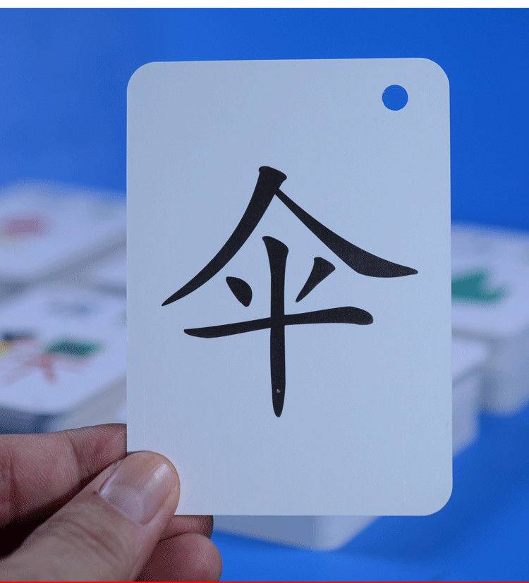 《儿童识字卡幼小衔接语文教具学前300字宝宝早教启蒙认知象形认字