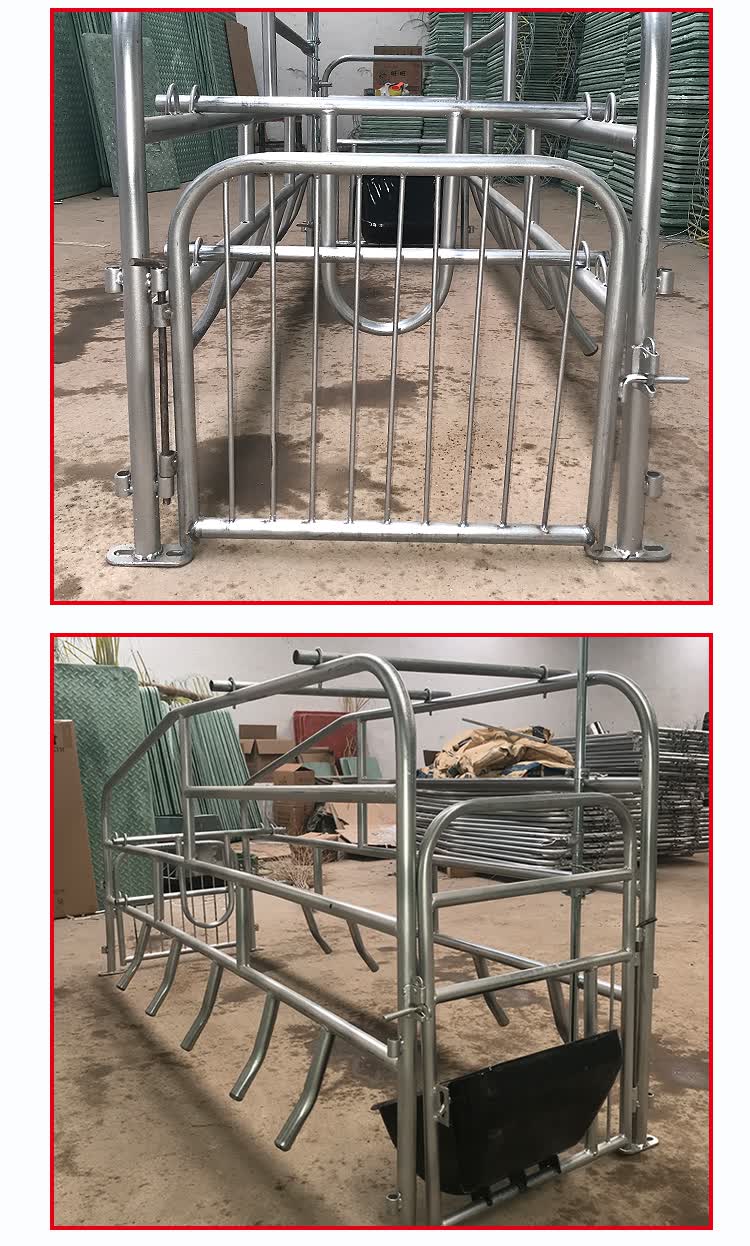 母猪定位栏 落地式产床 单个一个猪位简易产床单体栏产床养猪设备 2.
