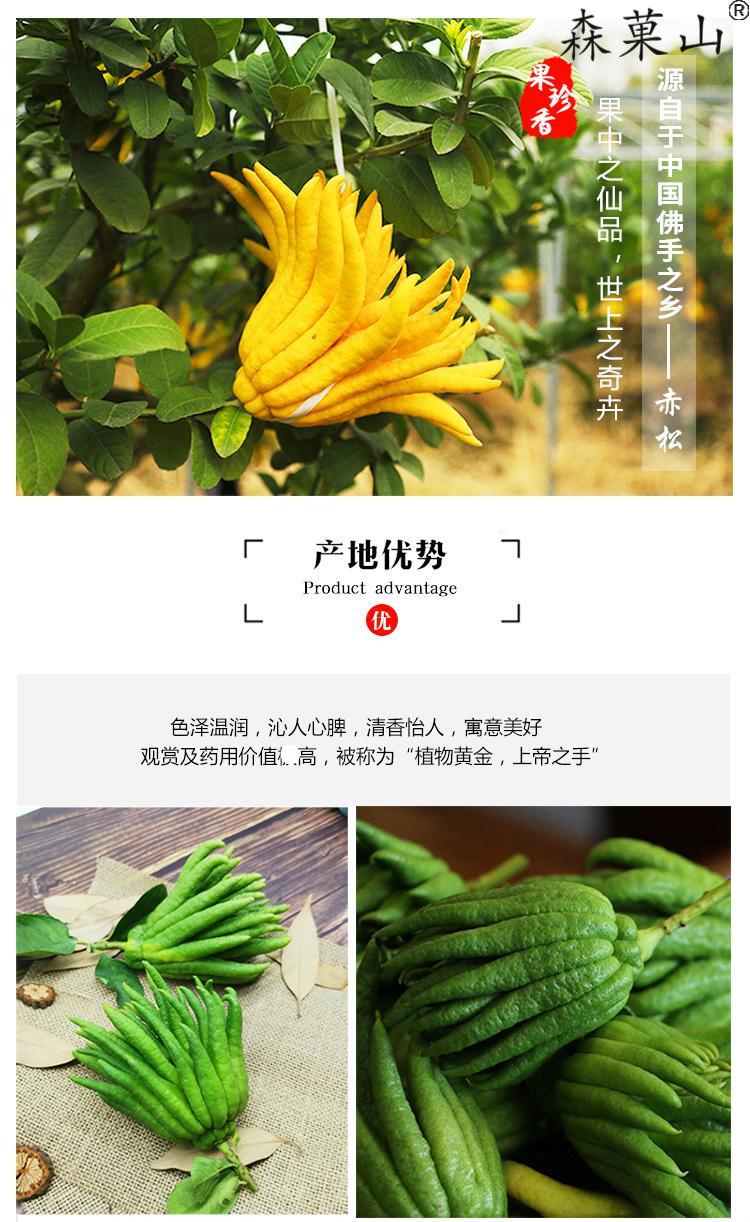 顺丰佛手果新鲜食用佛手果佛手柑佛手瓜佛手香橼清供观赏把玩小佛手5