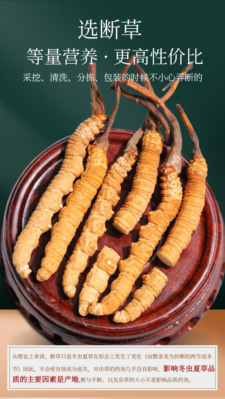 虫草冬虫夏草西藏高品质虫草断草干货断虫草5克装鹿锦煊断虫草5克断草
