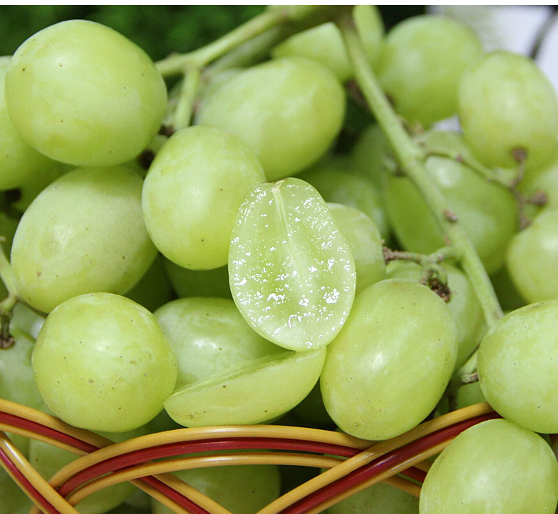 秘鲁无籽青提当季时令孕妇爽脆多汁青提子葡萄新鲜水果2斤