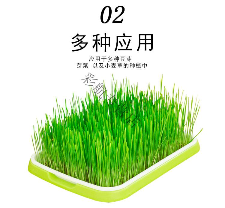 育苗纸新闻纸种植纸催芽纸芽苗菜育苗纸 无土栽培垫纸专用纸 育苗纸