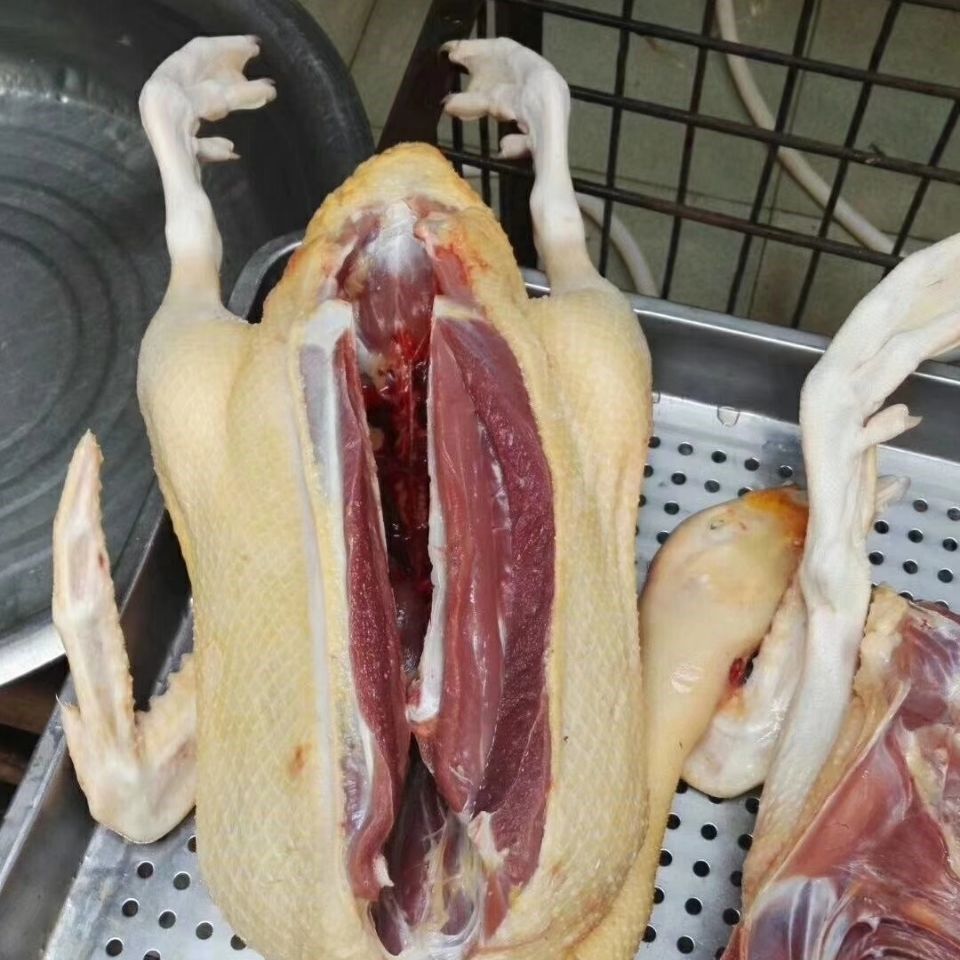农家散养鸳鸯番鸭红头鸭肉活体新鲜鸭子肉鸭肉整只土鸭子生鲜杀好净重