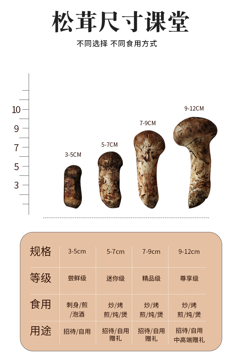 新鲜松茸野生食用菌菇西藏特产出口级不开伞500g顺丰空运 二级大头9
