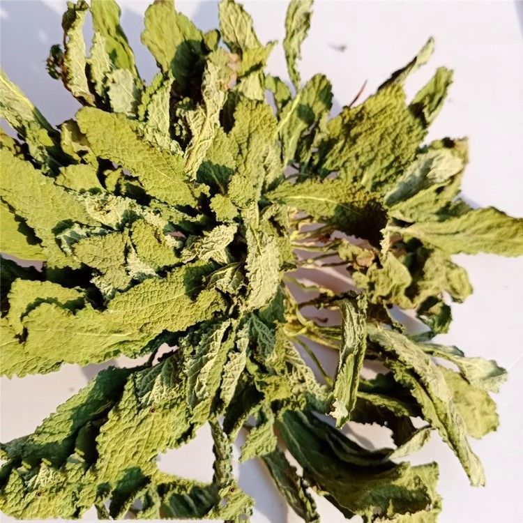 康中尊蛤蟆草荔枝草蛤蟆菜晒干蛤蟆草新鲜蛤蟆草整颗雪见草癞蛤蟆草新