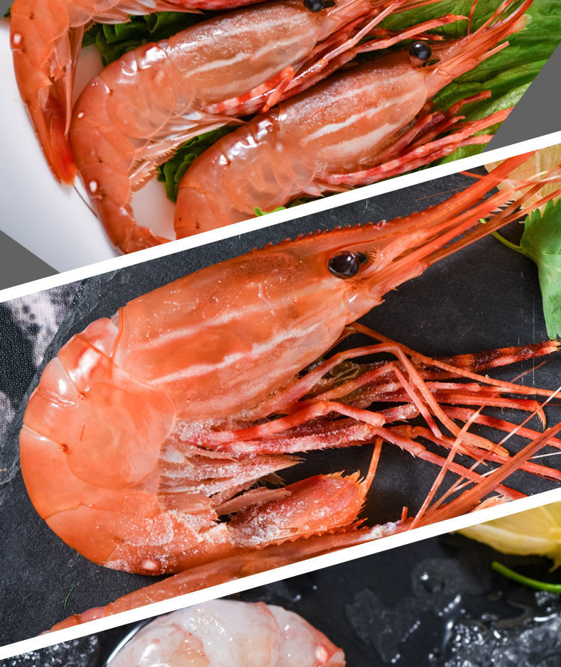 冷藏发货牡丹虾鲜活刺身级加拿大海鲜速冻大特海虾水产冰虾类日料郎纳