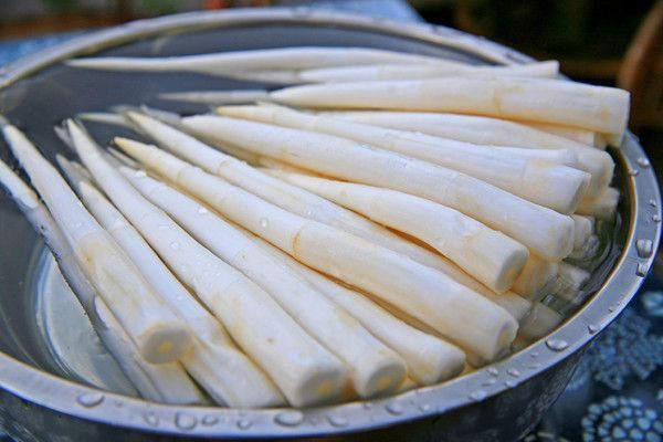 云南建水草芽象牙菜十二道锋味特产新鲜蔬菜农家自种批发1斤 1斤【500