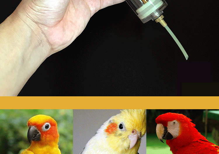 鲲煊 手养鹦鹉bb宝宝幼鸟雏鸟鹦鹉用喂食器奶粉喂奶器 100ml【图片