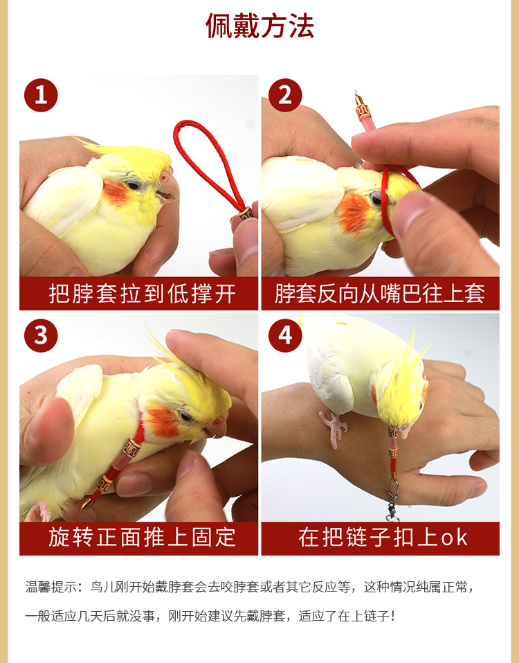 捕鸟绳套系法图片