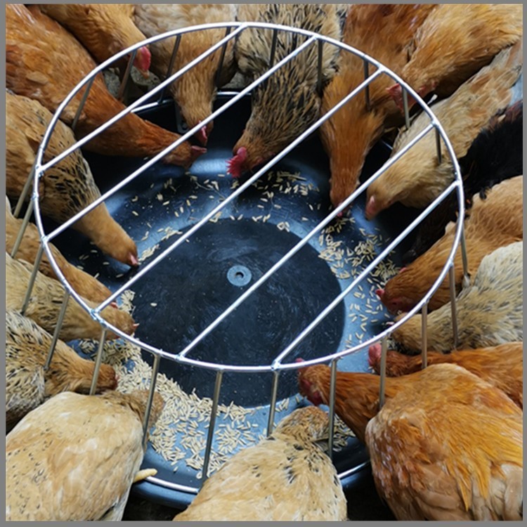 鸡食槽撒大号养殖场鸡鸭鹅自由采食槽主动喂料器喂鸡自动槽60公分12孔