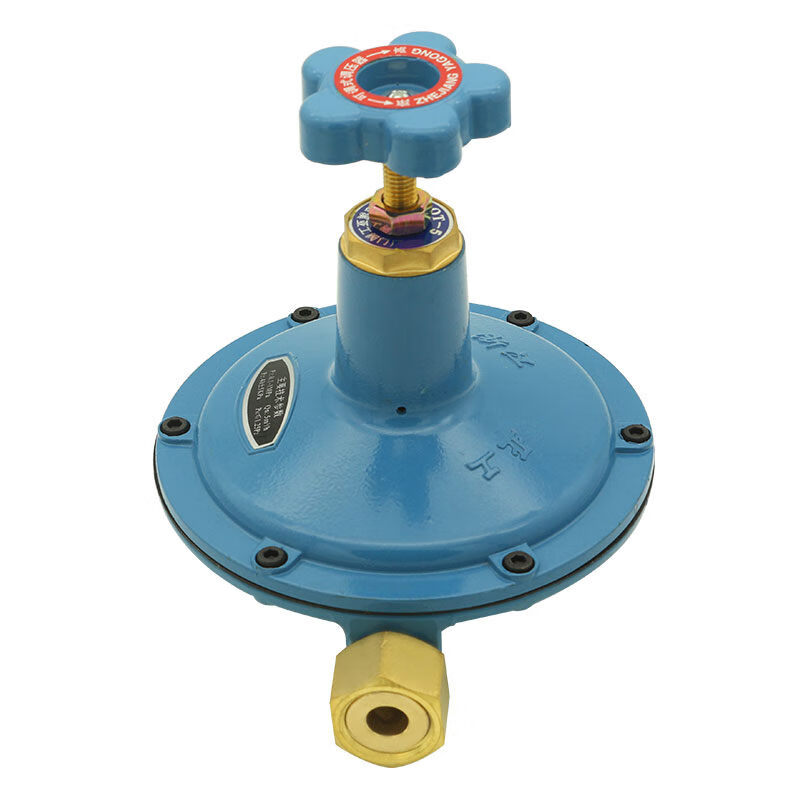 工业燃气可调式调压器qt5型qt10型减压阀qt5dn15