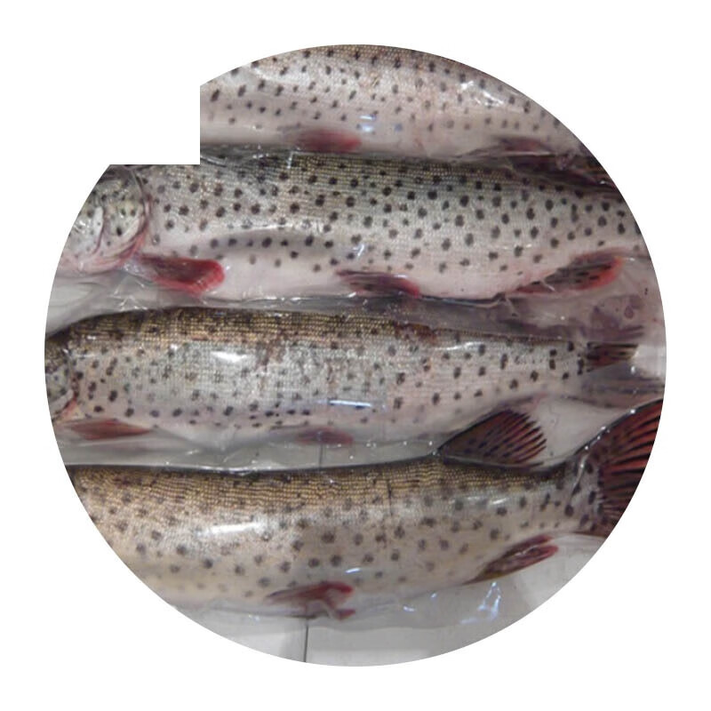 黑龙江乌苏里江东北特产抚远县特产江鱼生鱼新鲜狗鱼开江鱼2斤天冷才