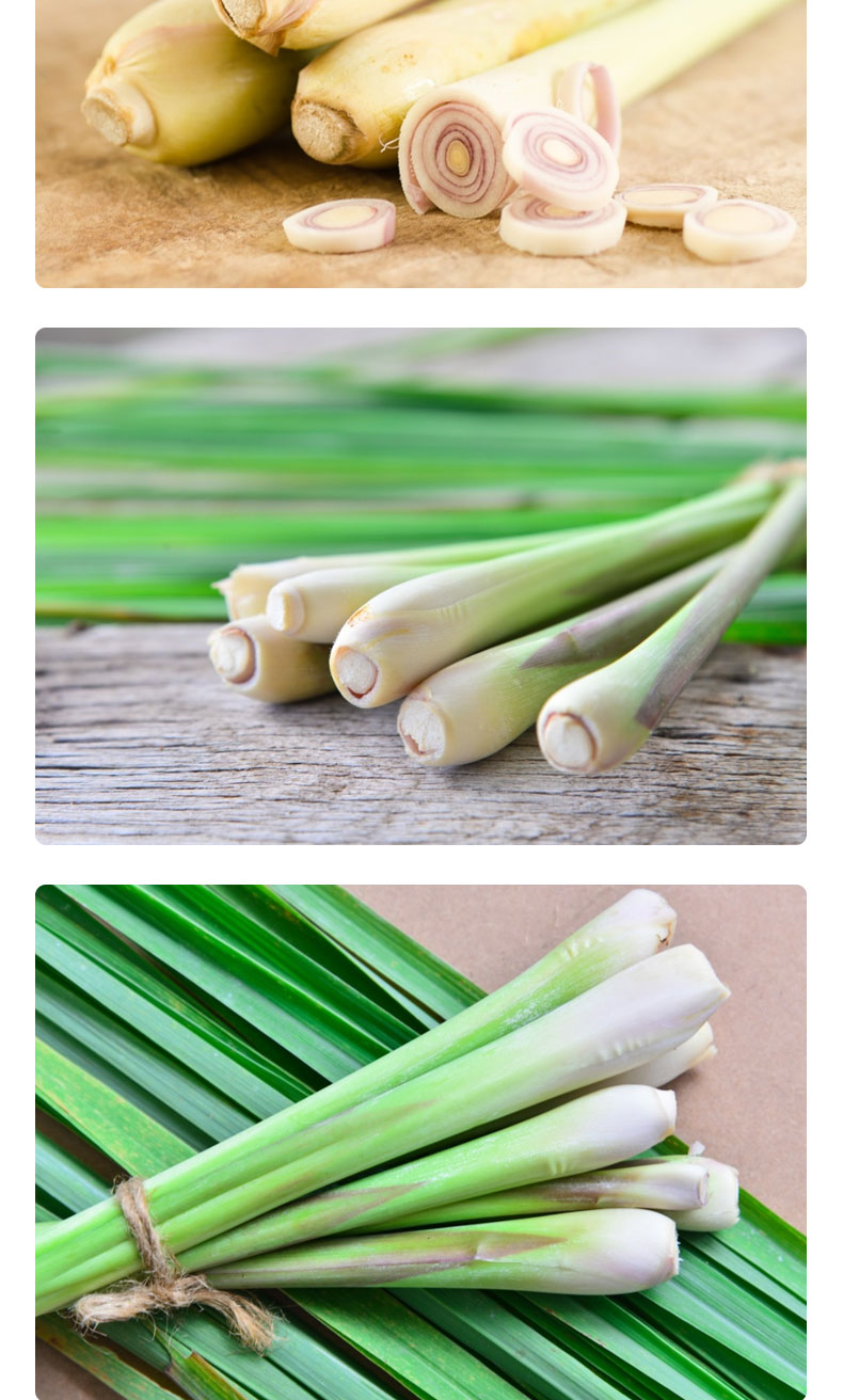 香茅草新鲜柠檬香茅香料菜奶茶店用品调料泰国冬阴功汤料原料2斤香茅