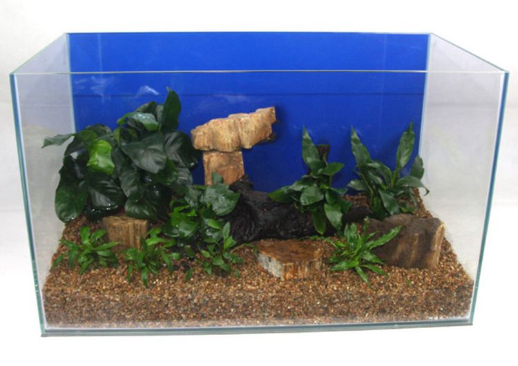 卫亮 彩色沙子多肉植物盆栽微景观装饰造景蓝沙白砂黄金河沙细石白