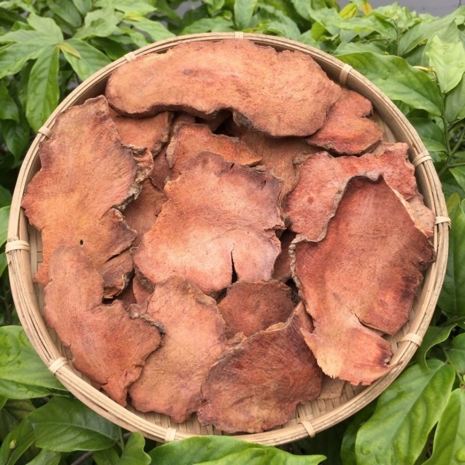 同仁堂土茯苓无硫新鲜干货土茯苓云南茯苓广东广西煲汤料泡酒料15g