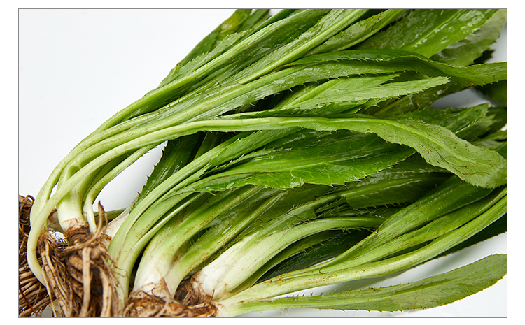 顺丰速运新鲜刺芫荽大香菜刺芹洋鹅芥假芫茜元西缅芜荽泰国越南香菜