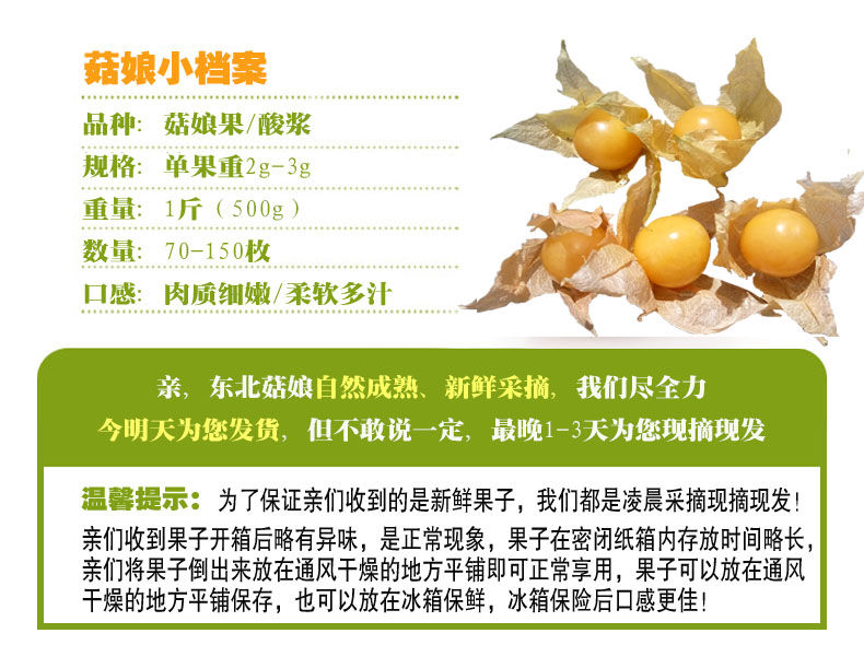 菇娘果新鲜水果灯笼果黄姑娘果洋菇娘姑娘果东北菇娘谷鸟精选3斤装