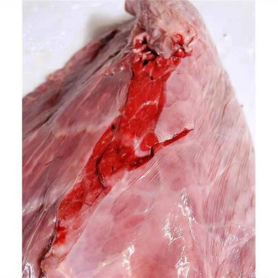 牛肺 农家散养黄牛牛肺新鲜冷冻生牛肺火锅食材批发 蜜鲜湾 精品牛肺
