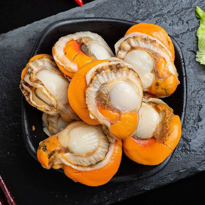 特大号扇贝肉扇贝肉新鲜网红扇贝肉海鲜扇贝肉扇贝肉鲜活扇贝带黄1500