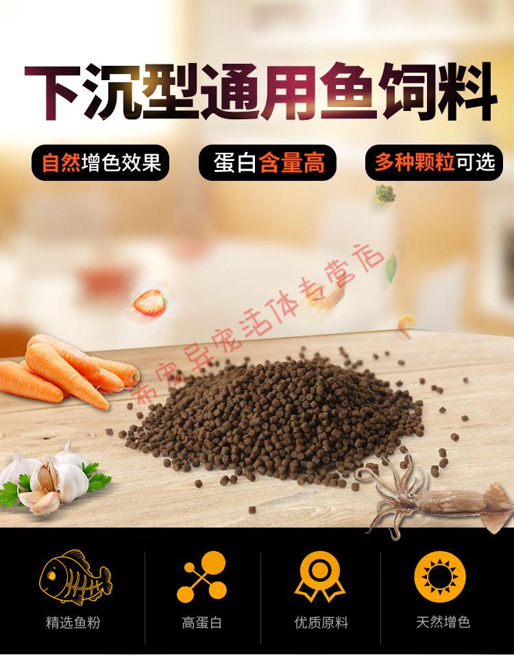 辣青春统一鲟鱼饲料高蛋白超浓腥沉底鲟鱼颗粒鲟鱼饵料黑坑通用鱼粮 3