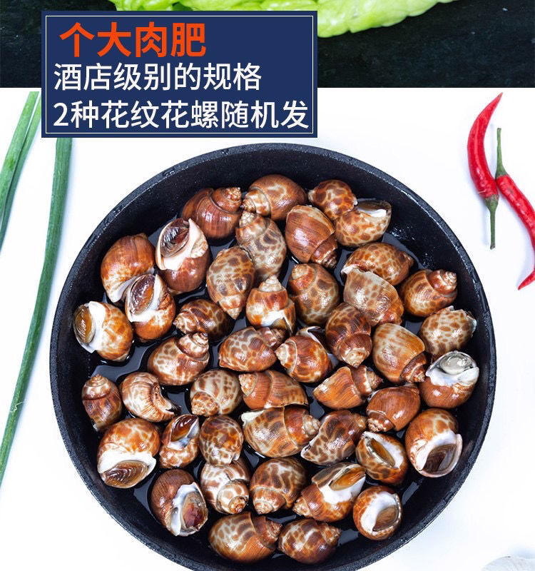铭语然 码头直发特大花螺海鲜新鲜冷冻批发海螺贝类水产田螺类 4斤