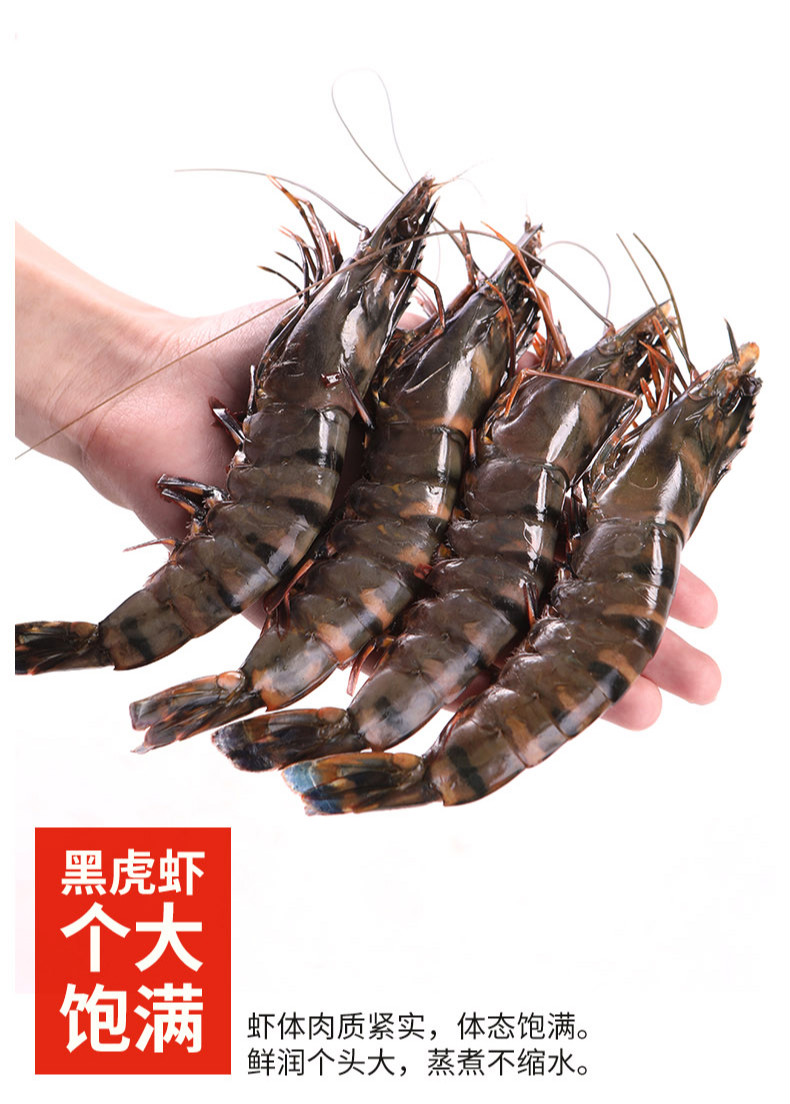 黑虎虾大虾超大速冻海鲜水产特大虾类海虾虎虾斑节九节老虎虾1200g