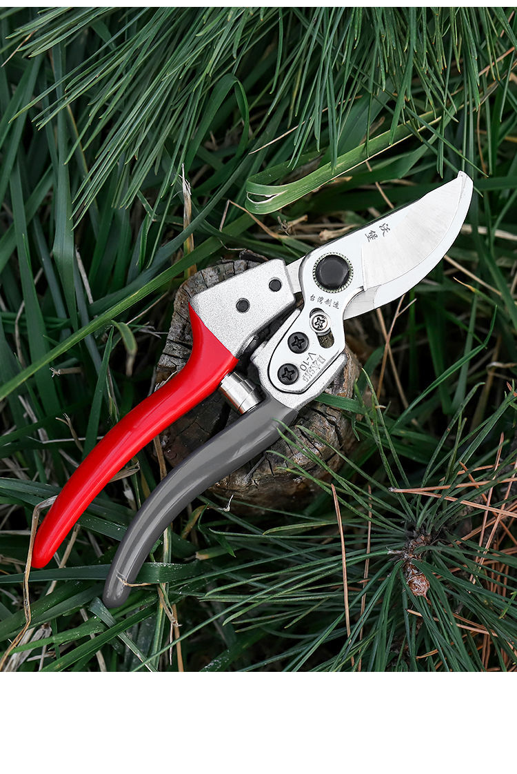 赞璐桐日本果树修枝剪剪刀树枝修剪果树修剪刀修枝剪粗枝剪剪树枝剪子