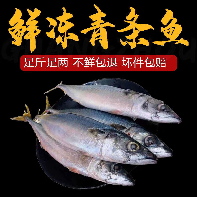 新鲜鲐鲅鱼批发青占鱼批发青条鱼10斤20斤一斤2到3条福茹洲特惠20斤装