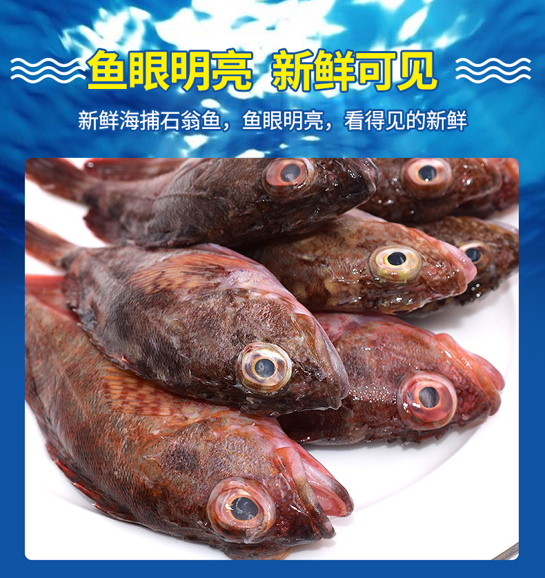 亚又婧舟山新鲜小虎头鱼1斤石翁鱼石斑鱼狗公鱼虎头斑
