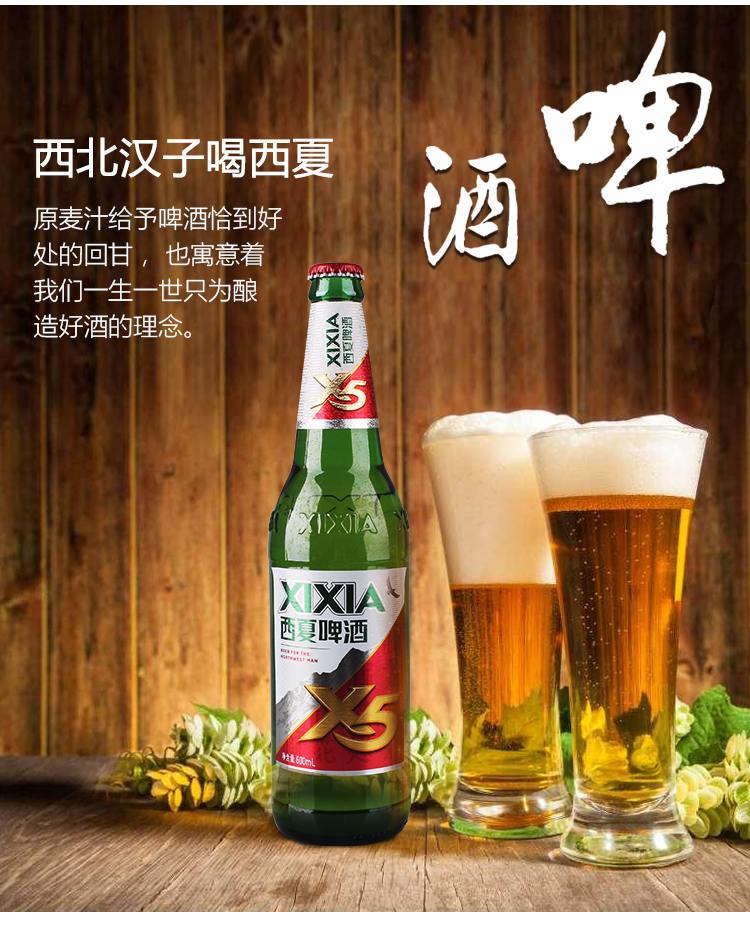 宁夏西夏啤酒夺命x5 玻璃瓶装600ml* 12瓶 精酿啤酒夺命啤酒 小麦酿造