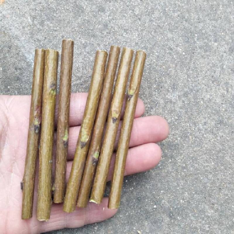 桃木枝天然桃木枝条桃树枝桃木棒子原木桃木棍随身桃树枝雕刻料桃木段