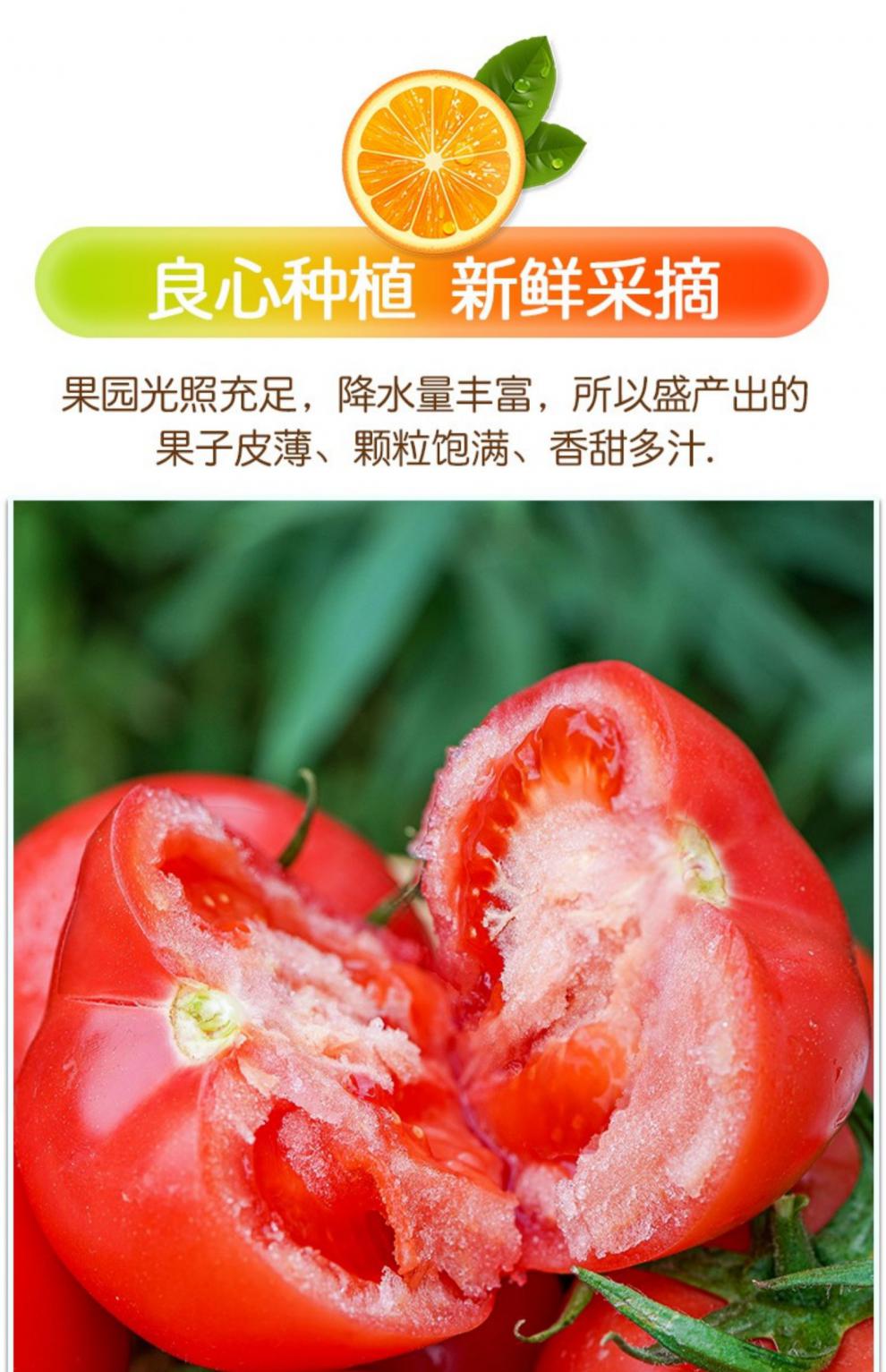 新疆沙瓤西红柿新鲜自然熟普罗旺斯生吃番茄新鲜水果5斤顺丰速运5斤