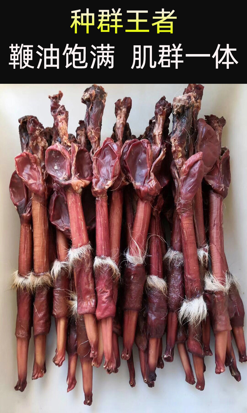 鹿鞭干整根男用鹿鞭片泡酒料成年新鲜鹿鞭吉林梅花鹿鹿鞭整枝