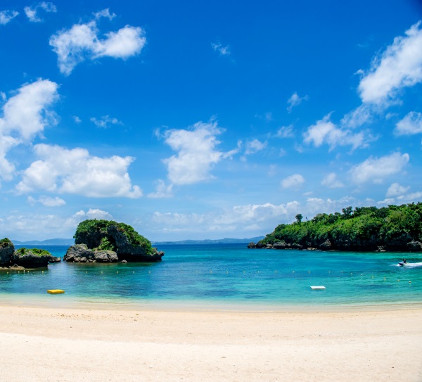 大海沙滩蓝天白云海边椰树风景主播拍视频段子直播背景布3d立体 851