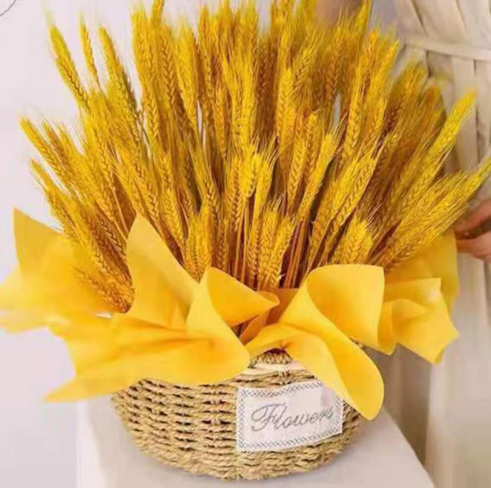 麦穗干花 天然金色麦穗干花花束开业大麦客厅田园装饰摆件礼盒插花花