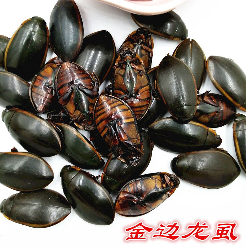整只50只金边龙虱干货水蟑螂水鳖虫射尿龟水龟子可打粉【图片 价格