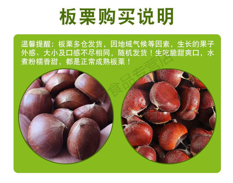 生板栗生栗子农家现摘去刺带壳野生新鲜板栗毛栗油栗整箱批发 新鲜