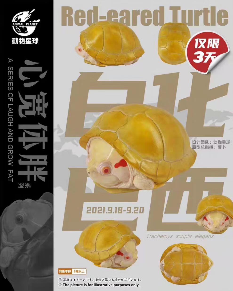 动物星球心宽体胖系列动物星球心宽体胖系列第三弹辐射陆龟苏卡达鹰嘴