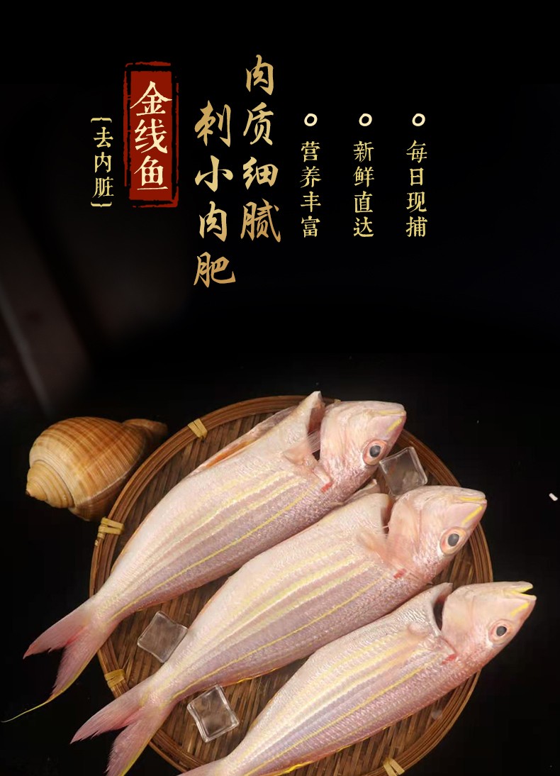 金线鱼500g 鲜冻海捕金丝鱼东山岛红三鱼现捕 愚港水产海鲜 净重500g 