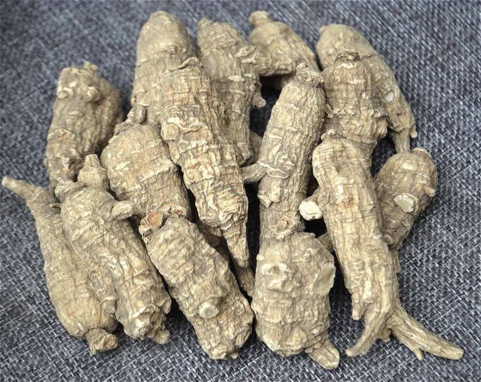 年货节瑞氏山美国花旗参进口西洋参段花旗参片整枝含片西洋参切片113